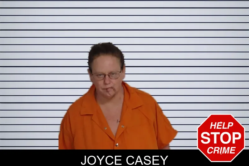 Joyce Casey mugshot