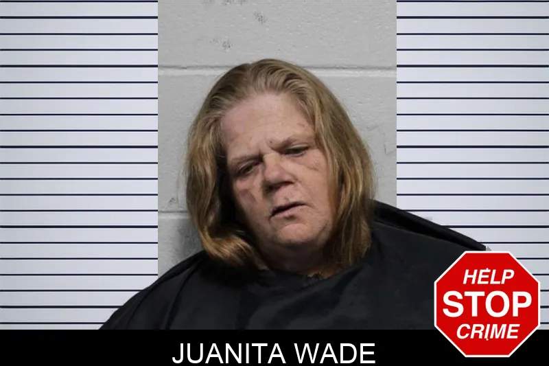Juanita Wade mugshot