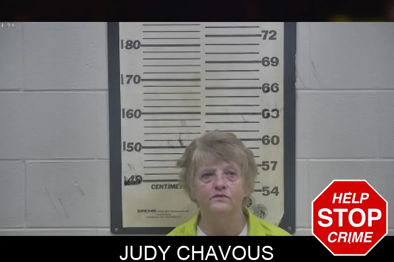 Judy Chavous mugshot