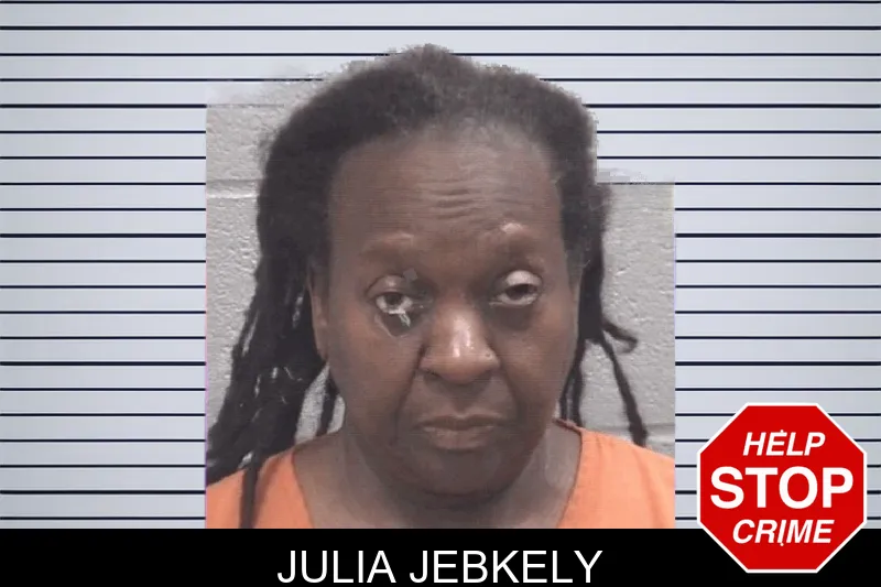 Julia Jebkely mugshot
