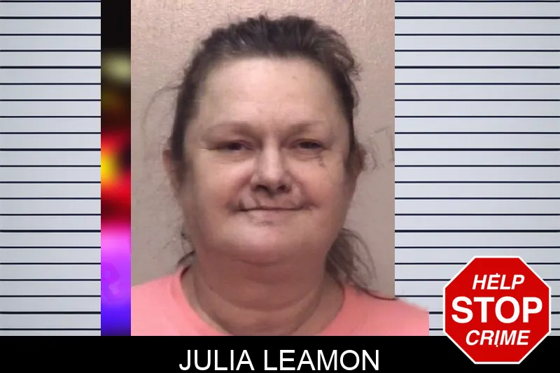 Julia Leamon mugshot