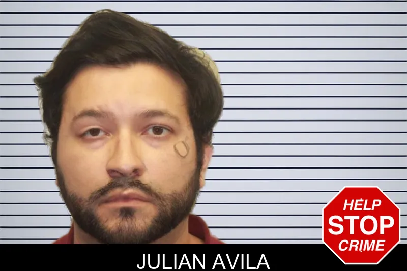 Julian Avila mugshot – Chatham County , Georgia Julian Avila mugshot