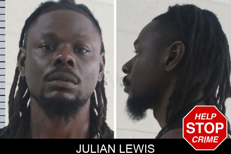 Julian Lewis mugshot