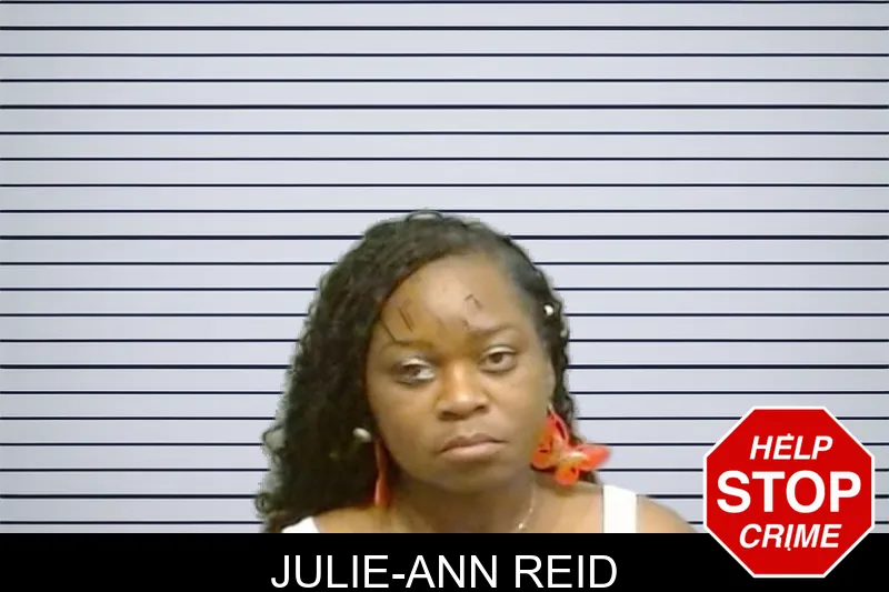 Julie-Ann Reid mugshot