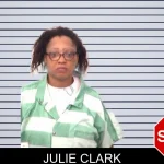 Julie Clark mugshot
