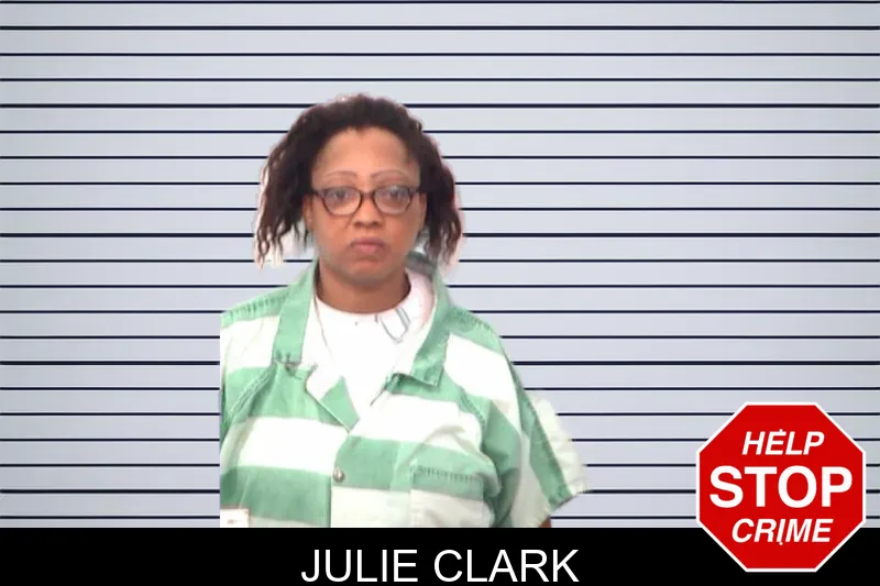Julie Clark mugshot