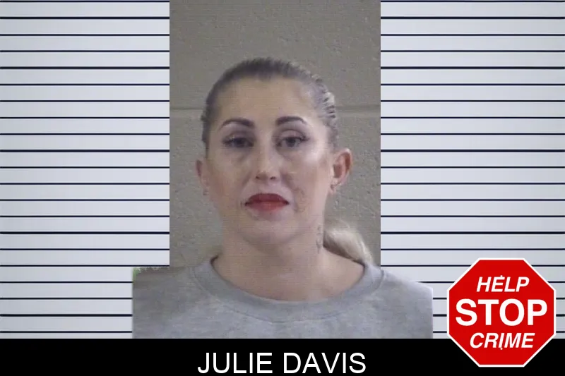 Julie Davis mugshot