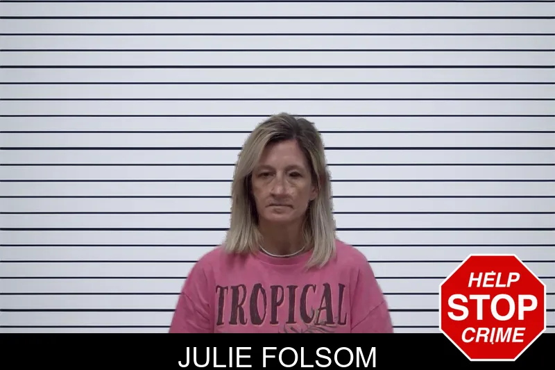Julie Folsom mugshot