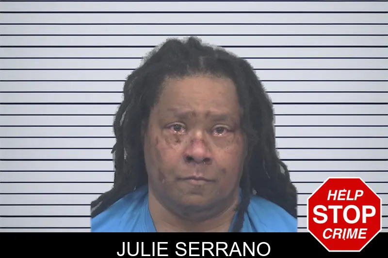 Julie Serrano mugshot
