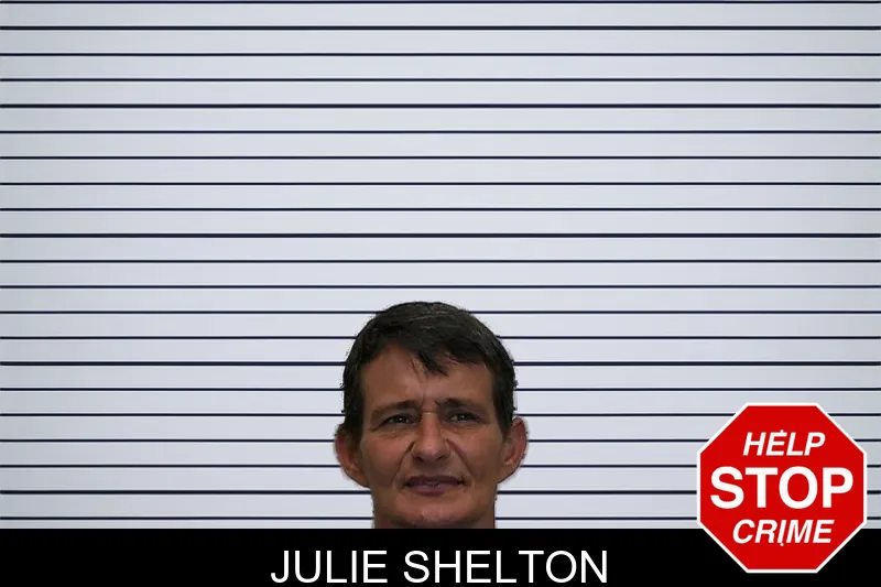 Julie Shelton mugshot