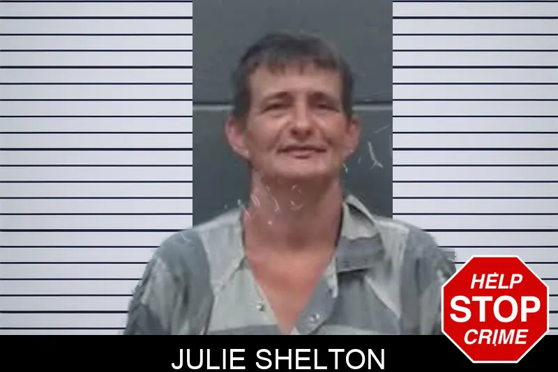 Julie Shelton mugshot