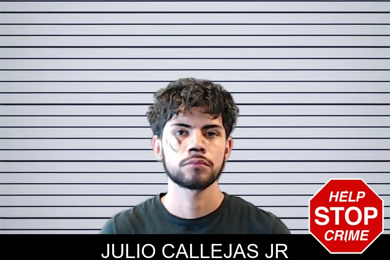 Julio Callejas Jr mugshot