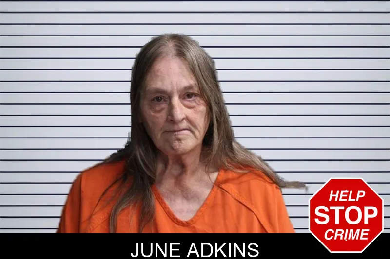June Adkins mugshot