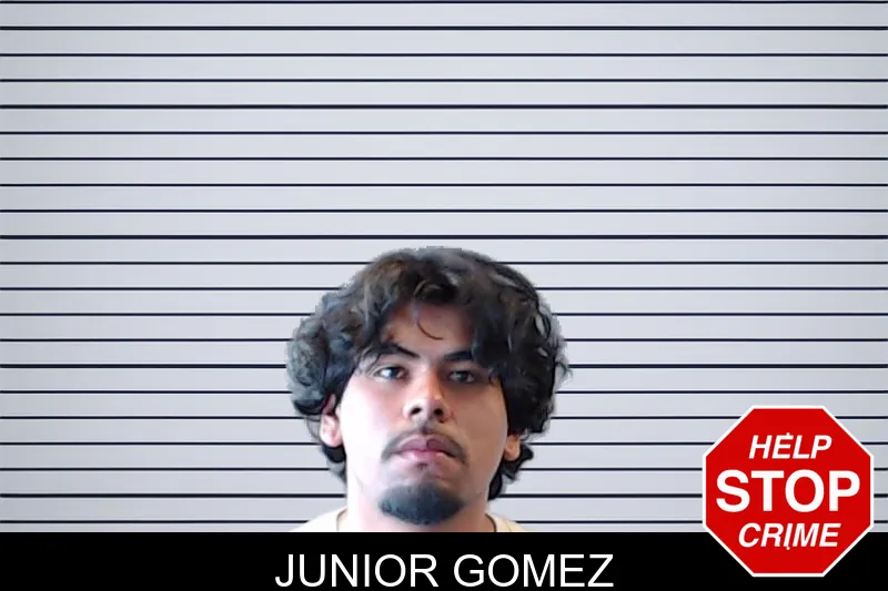 Junior Gomez mugshot