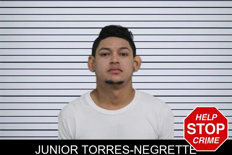 Junior Torres-Negrette mugshot