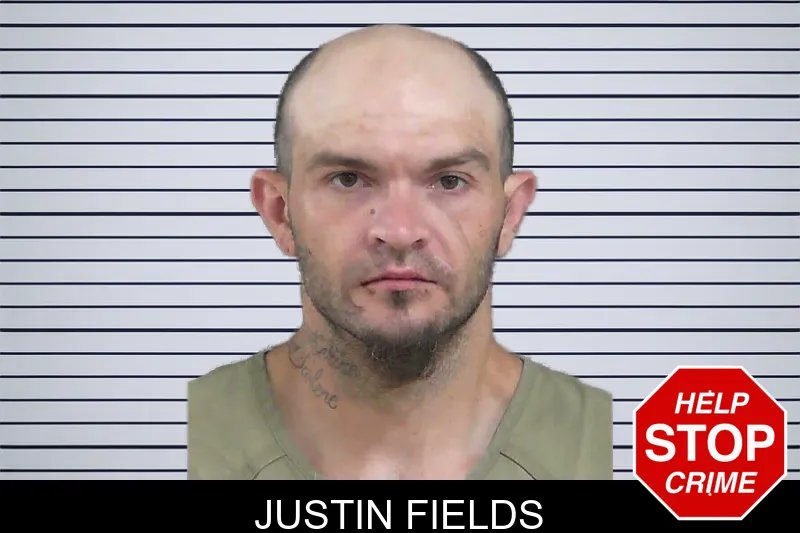 Justin Fields mugshot