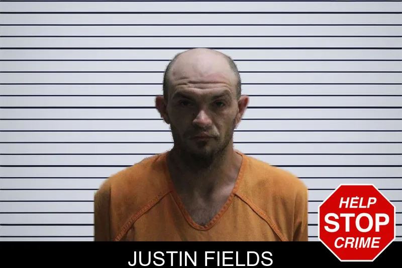 Justin Fields mugshot