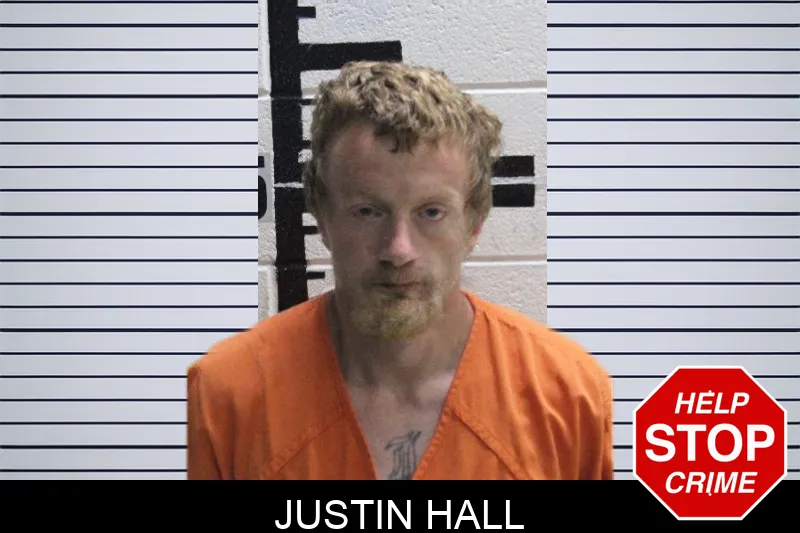 Justin Hall mugshot