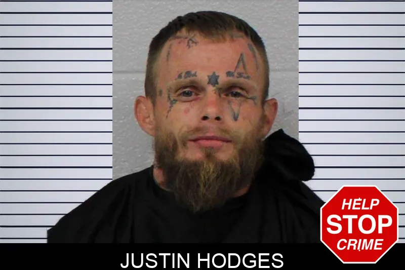 Justin Hodges mugshot