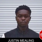 Justin Mealing mugshot