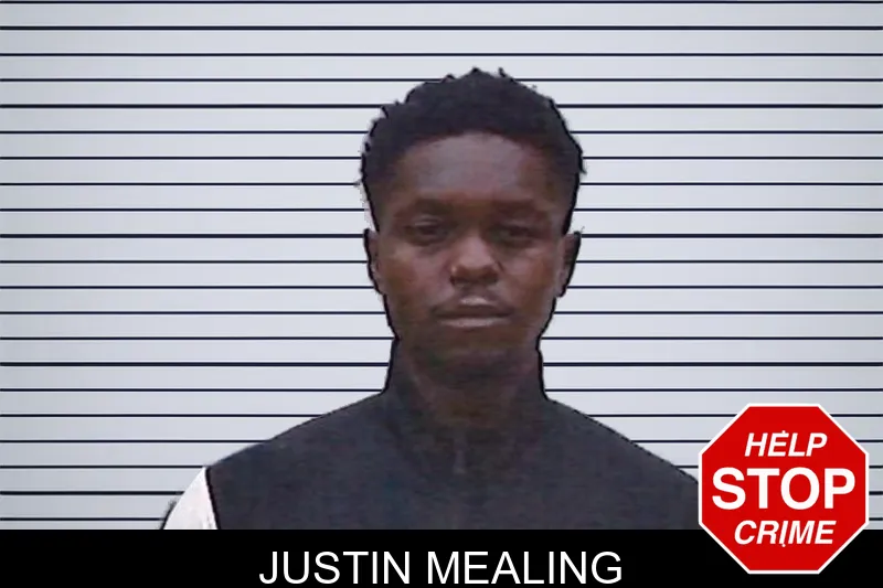Justin Mealing mugshot