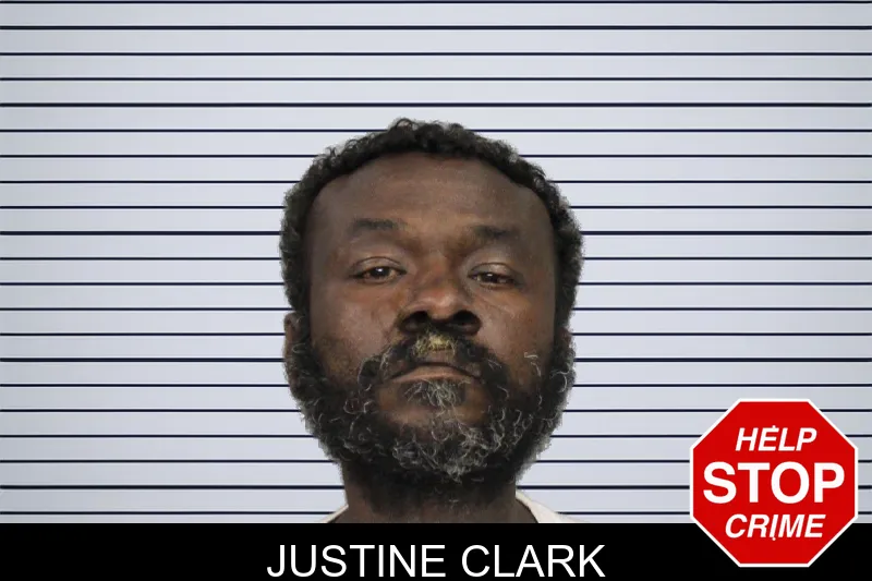 Justine Clark mugshot