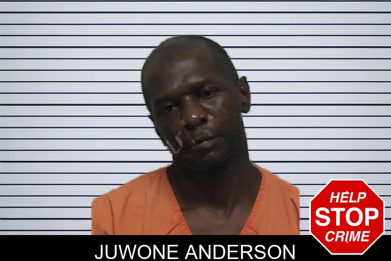 Juwone Anderson mugshot