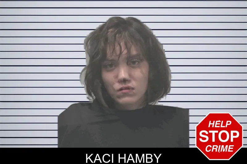 Kaci Hamby mugshot