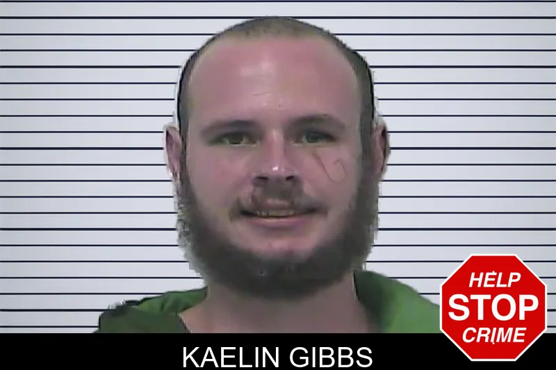 Kaelin Gibbs mugshot