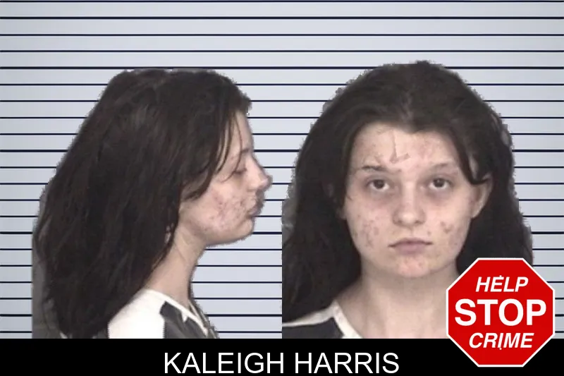 Kaleigh Harris mugshot