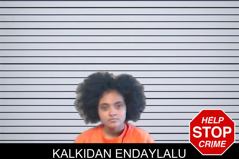 Kalkidan Endaylalu mugshot