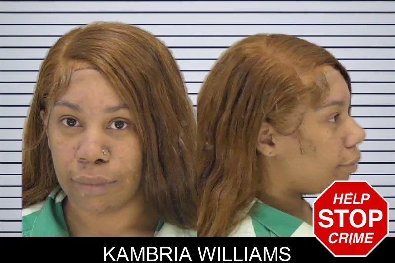 Kambria Williams mugshot