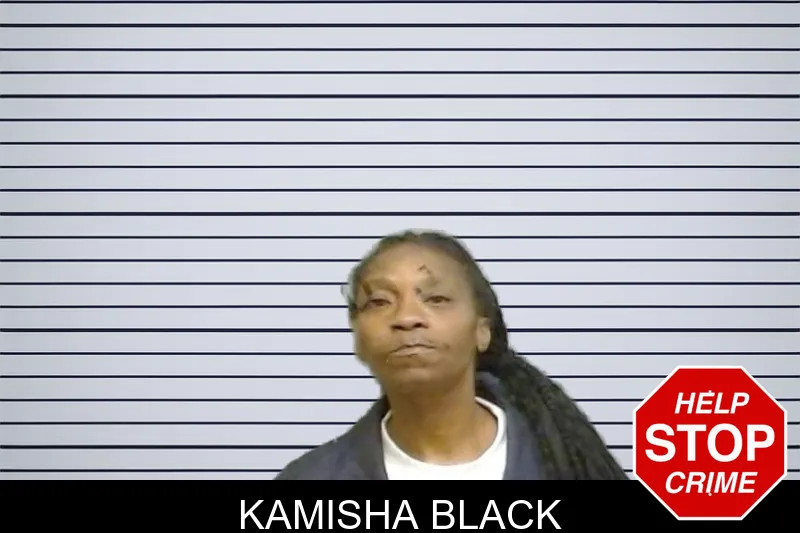 Kamisha Black mugshot