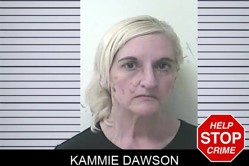 Kammie Dawson mugshot
