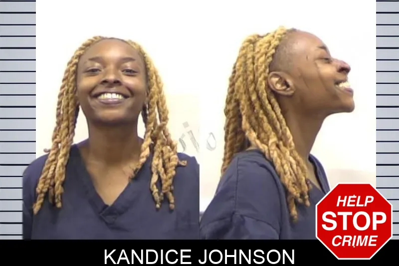 Kandice Johnson mugshot