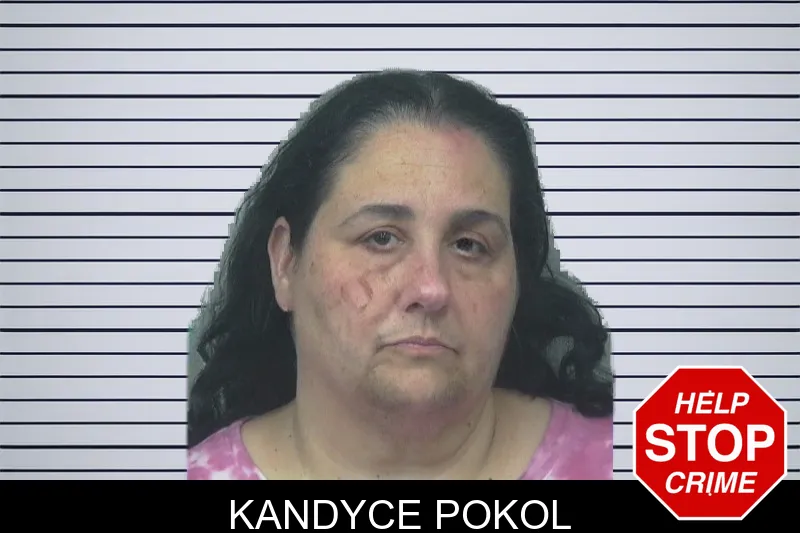 Kandyce Pokol mugshot