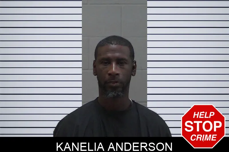 Kanelia Anderson mugshot