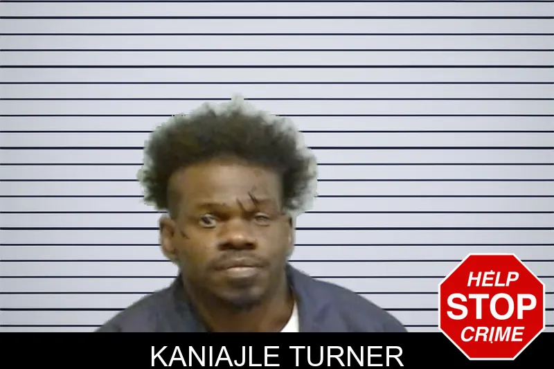 Kaniajle Turner mugshot
