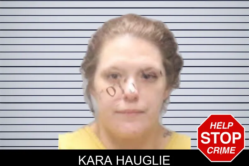 Kara Hauglie mugshot