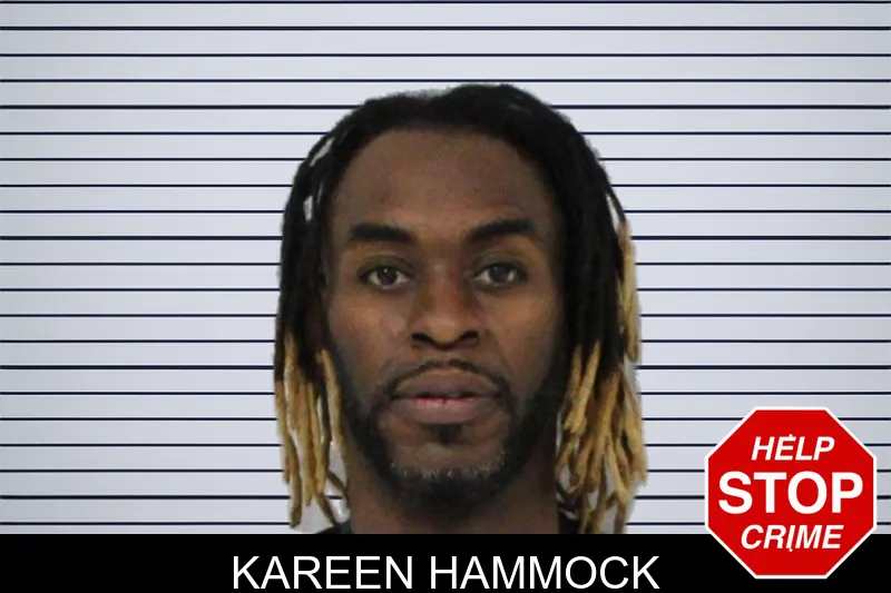 Kareen Hammock mugshot