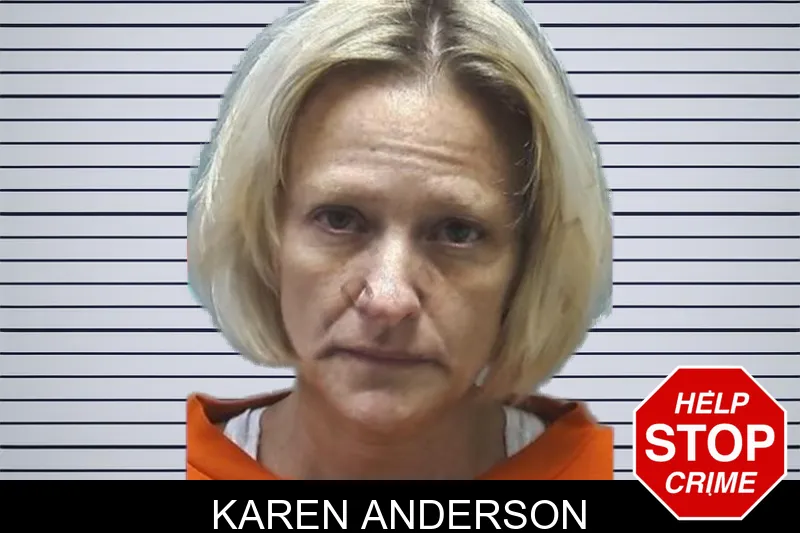 Karen Anderson mugshot