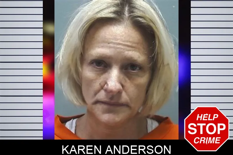 Karen Anderson mugshot