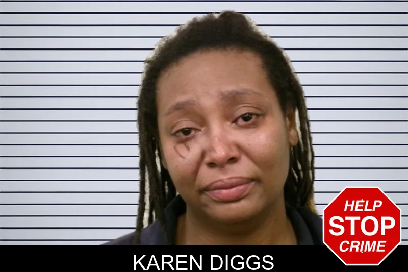 Karen Diggs mugshot