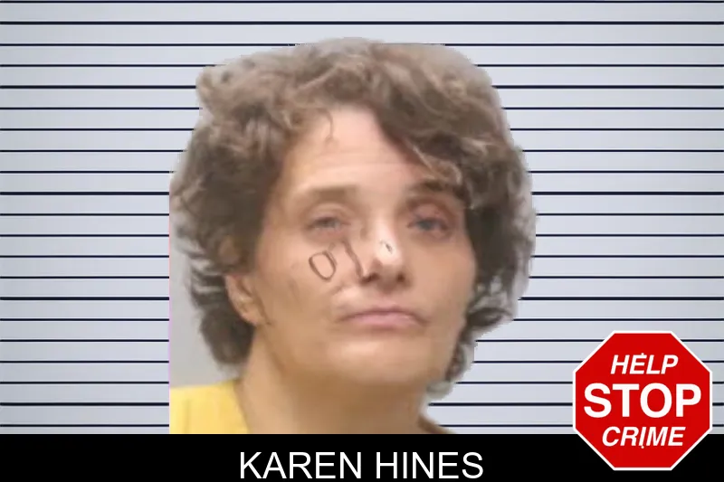 Karen Hines mugshot
