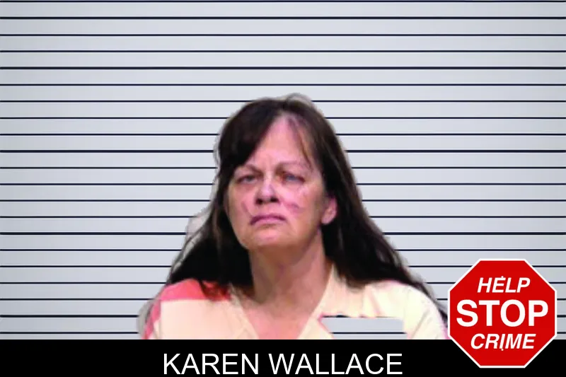 Karen Wallace mugshot