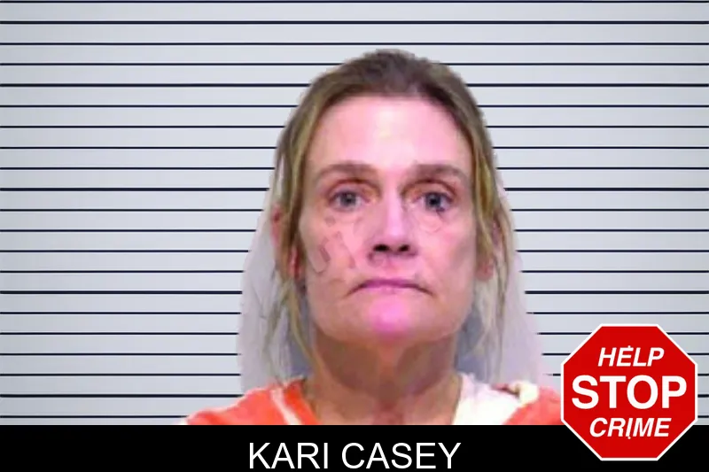 Kari Casey mugshot