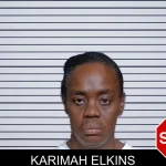 Karimah Elkins mugshot