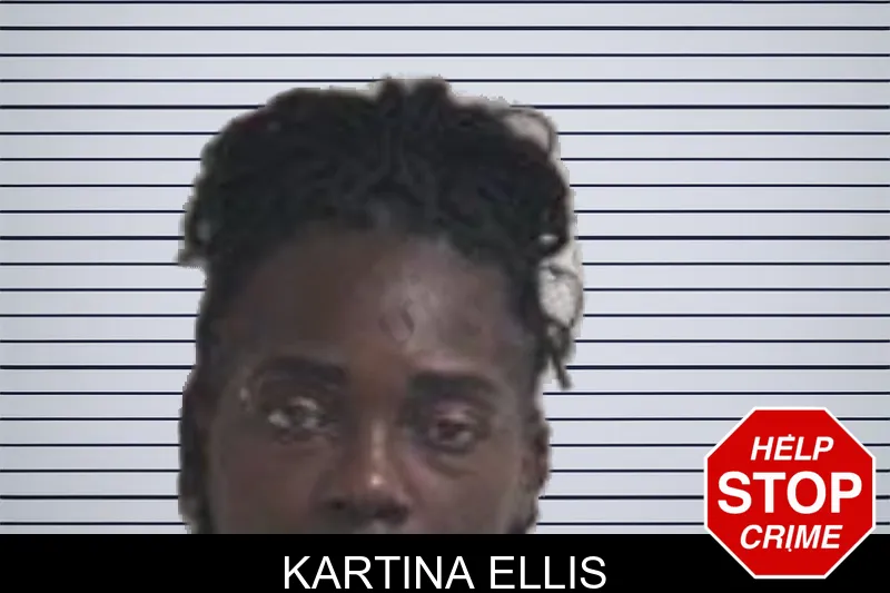 Kartina Ellis mugshot