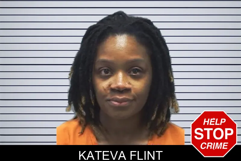Kateva Flint mugshot – Cherokee County , Georgia Kateva Flint mugshot