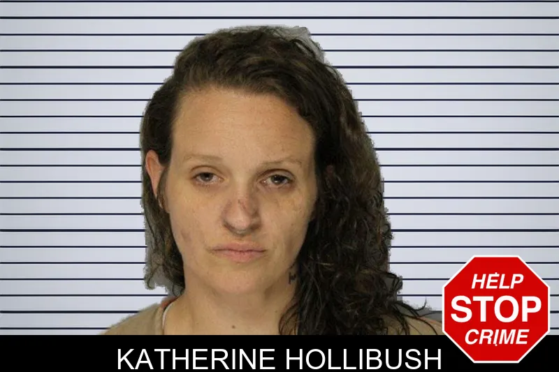 Katherine Hollibush mugshot